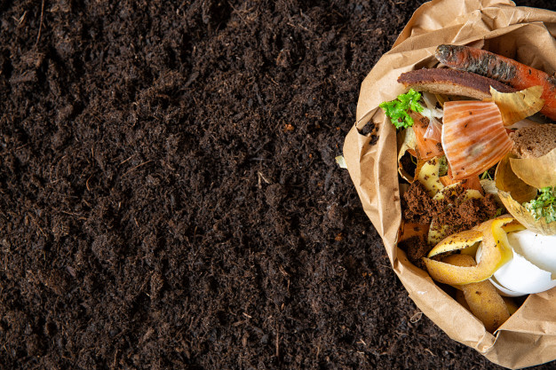 learn about composting